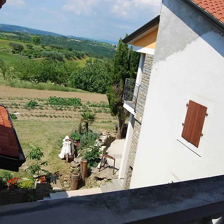 San Mauro