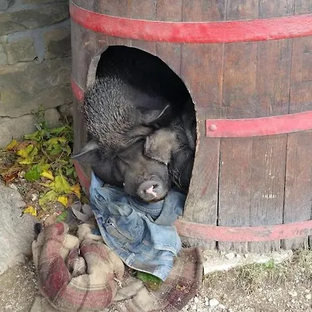 Apart Otel San Mauro *