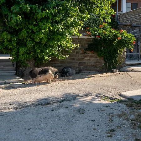 Lejlighedshotel San Mauro Countryside Retreat With Restaurant & Wine Cellar Momjan